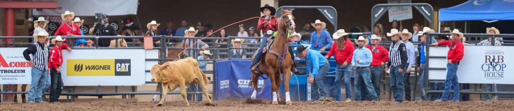 Rodeo Talent | Pikes Peak or Bust Rodeo