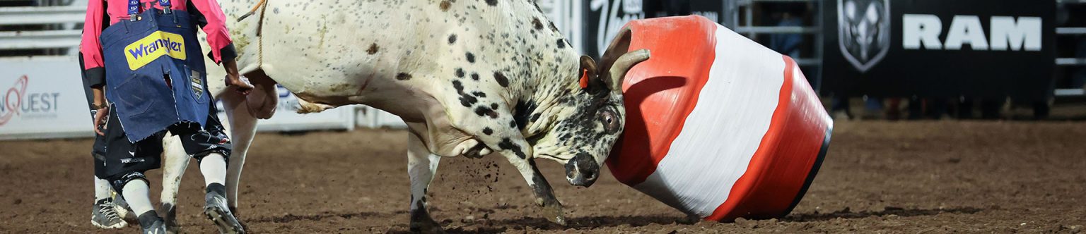 Rodeo 101 | Pikes Peak or Bust Rodeo